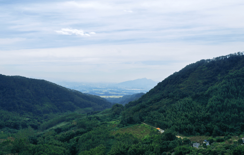 走進(jìn)益力水廠，探訪山林之中的天然清洌 